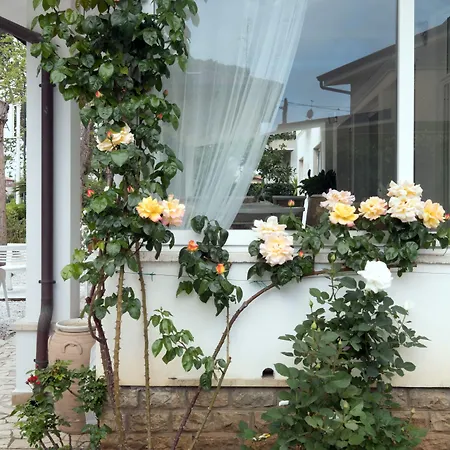 Solea Versilia Hotel
