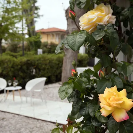 Solea Versilia 3*