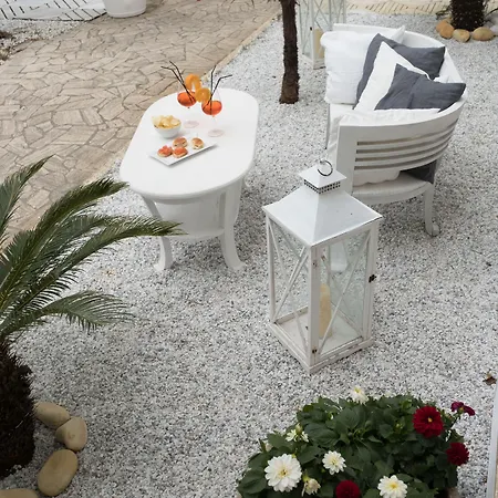 Solea Versilia Marina di Pietrasanta